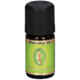 Primavera Ätherisches Öl - Blutorange (5 ml)