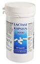 LACTASE KPS DOS 4000IE